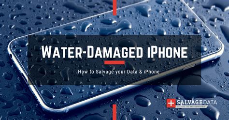 moisture meter iphone|signs of iphone water damage.